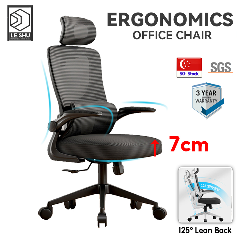 LeShu Office Chair Ergonomic Mesh Office Chair Comfort For Work 8 Hours High-back Adjustable 3D Headrest Reclining 90-125°