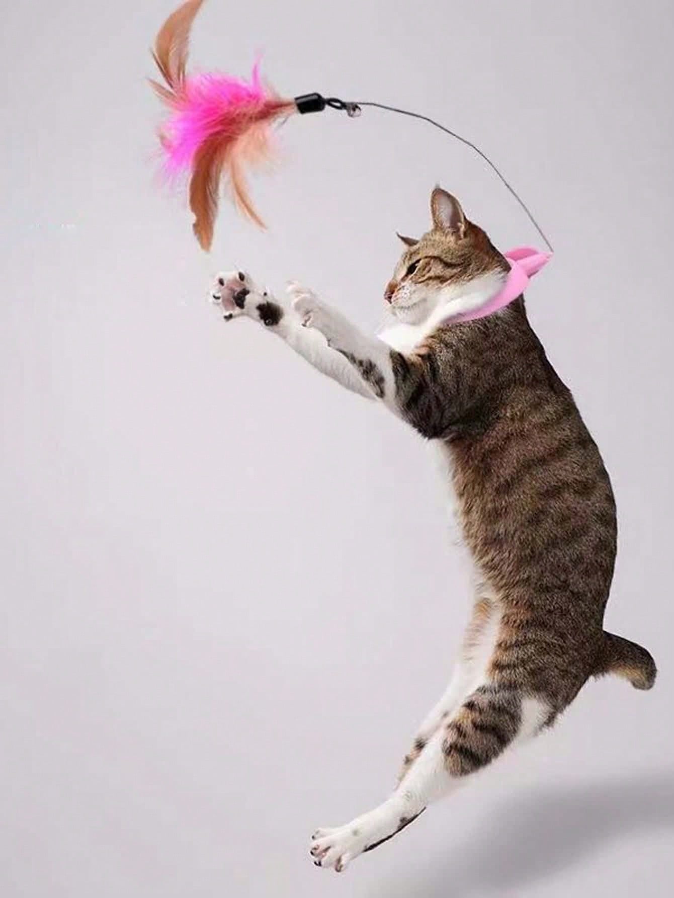 Cat Teasing Stick Teasing Cat Toy Self-healing Cat Relieving Boredom Handy Tool Cat Collar Automatic Teasing Cat